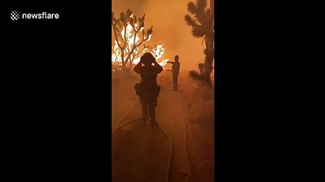 Dome fire creates hell on earth with 98 degree heat in Mojave National Preserve, California