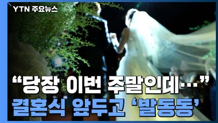 "당장 이번 주말인데"...결혼식 앞두고 '발동동' / YTN