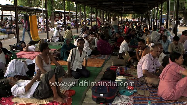 Crowd gather at Nampally Exhibition Ground for the annual Bathini Fish medicine