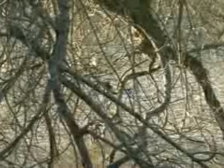 Ballade à Rambouillet 11