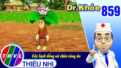 Dr. Khỏe - Tập 859: Cây bạch đồng nữ chữa vàng da