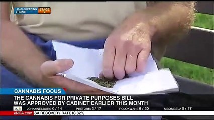 Cannabis for private purposes bill approved