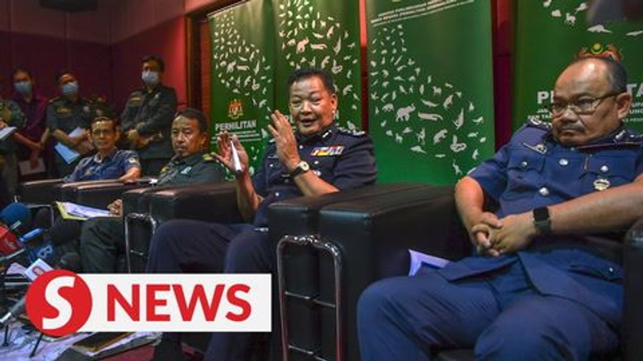 IGP: OCPDs must submit report on illegal wildlife sale before Sept 18