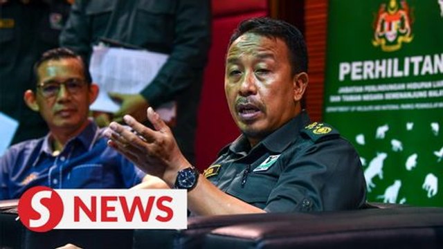 Wildlife Act with harsher sentences for poachers to be tabled in next Parliament session