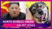 Kim Jong-un Orders North Koreans To Hand Over Pet Dogs To Supply Restaurants Amid Food Shortages