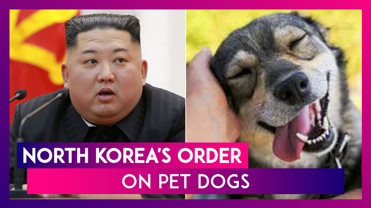 Kim Jongun Orders North Koreans To Hand Over Pet Dogs To Supply