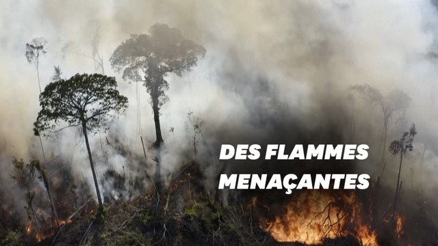 Au Brésil, la forêt amazonienne continue de brûler