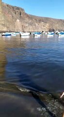 Mantas en la orilla del puerto de Vueltas en Valle Gray Rey