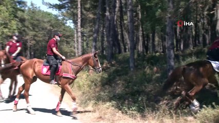 Atlı polislerden Aydos Ormanında mangal denetimi