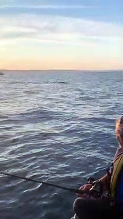 Worried About Whales