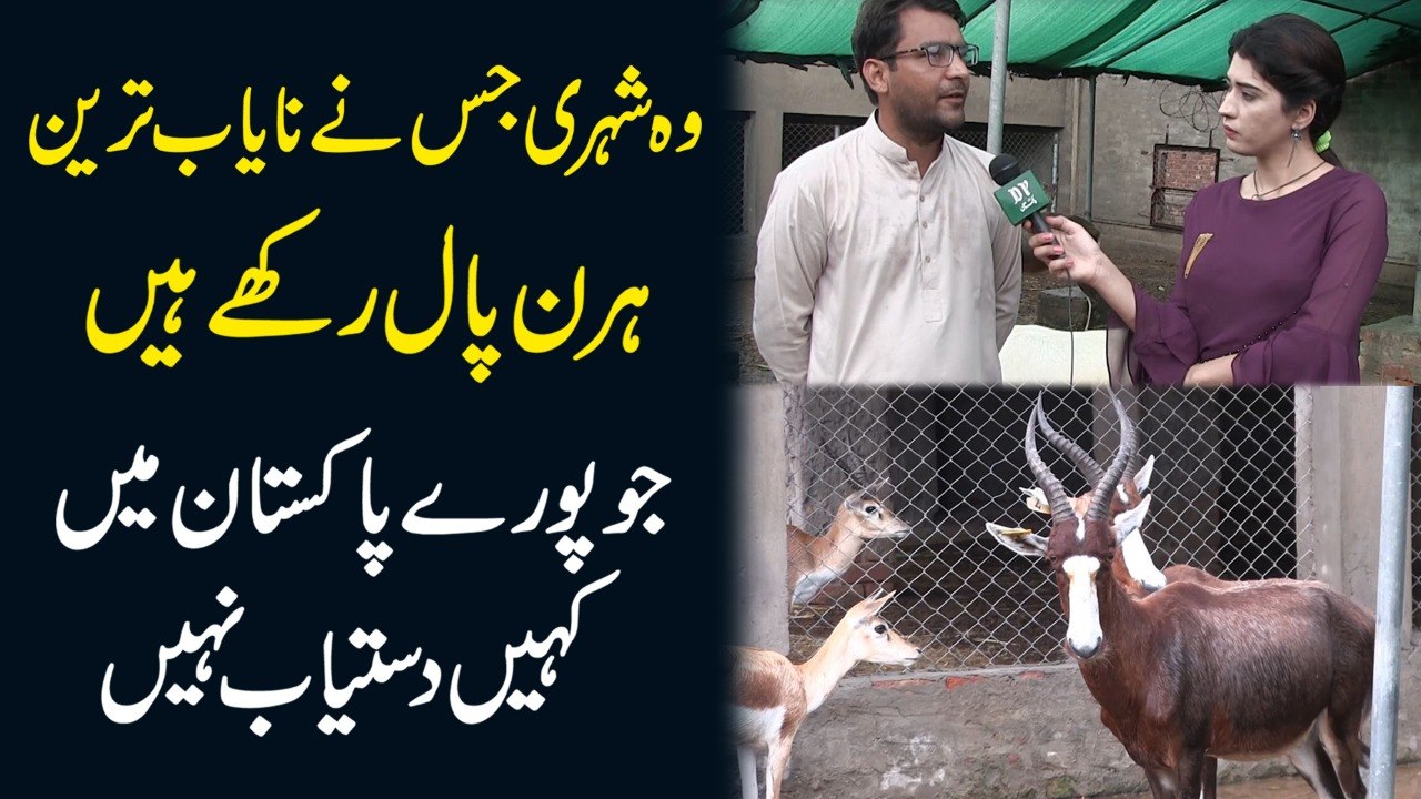 Woh shehri jisnay nayab tareen hiran paal rakhay hain jo puray Pakistan mei kahi dastiab nahi