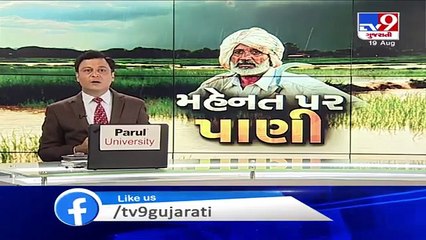 Farmers distressed as heavy rains flatten crops, Gir-Somnath