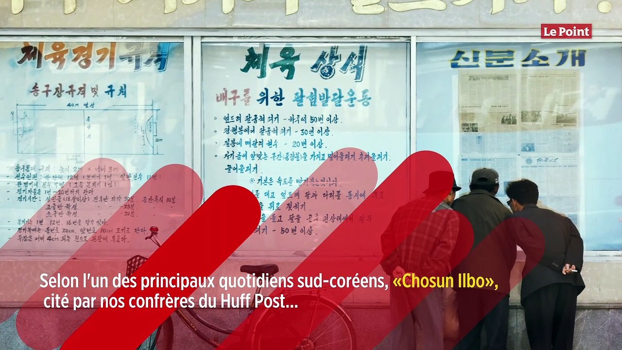 En Corée du Nord, les chiens domestiques réquis...