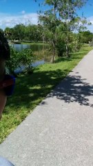 family Duck from lakes park florida