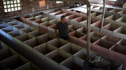 Chinese rats, cobra farmers face debt and poverty after wildlife ban