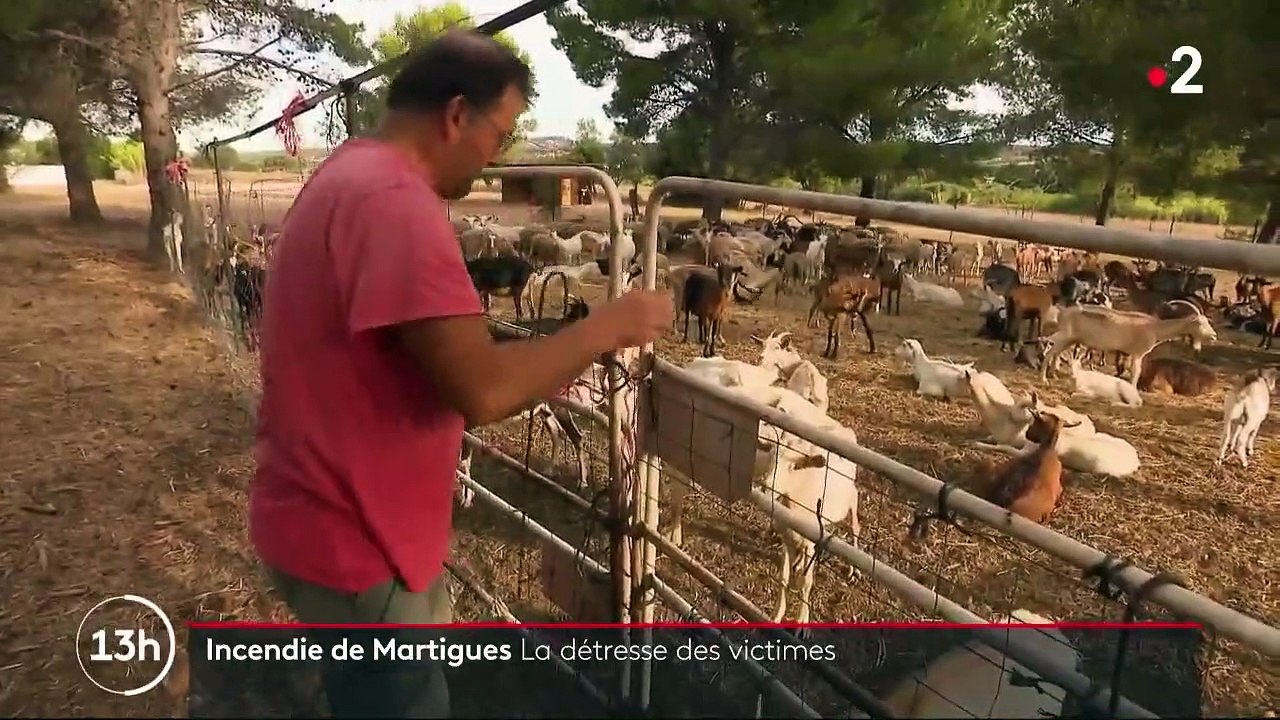 Incendie de Martigues : la détresse des victimes 15 jours après le drame