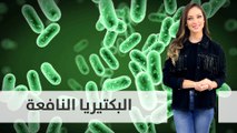 هل تعرف ما هي البكتيريا النافعة؟