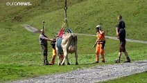 Bodenfahrt am Klausenpass: Da fliegt die Kuh