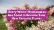 ‘Berry White’ Hydrangeas Are About to Become Your New Favorite Flower