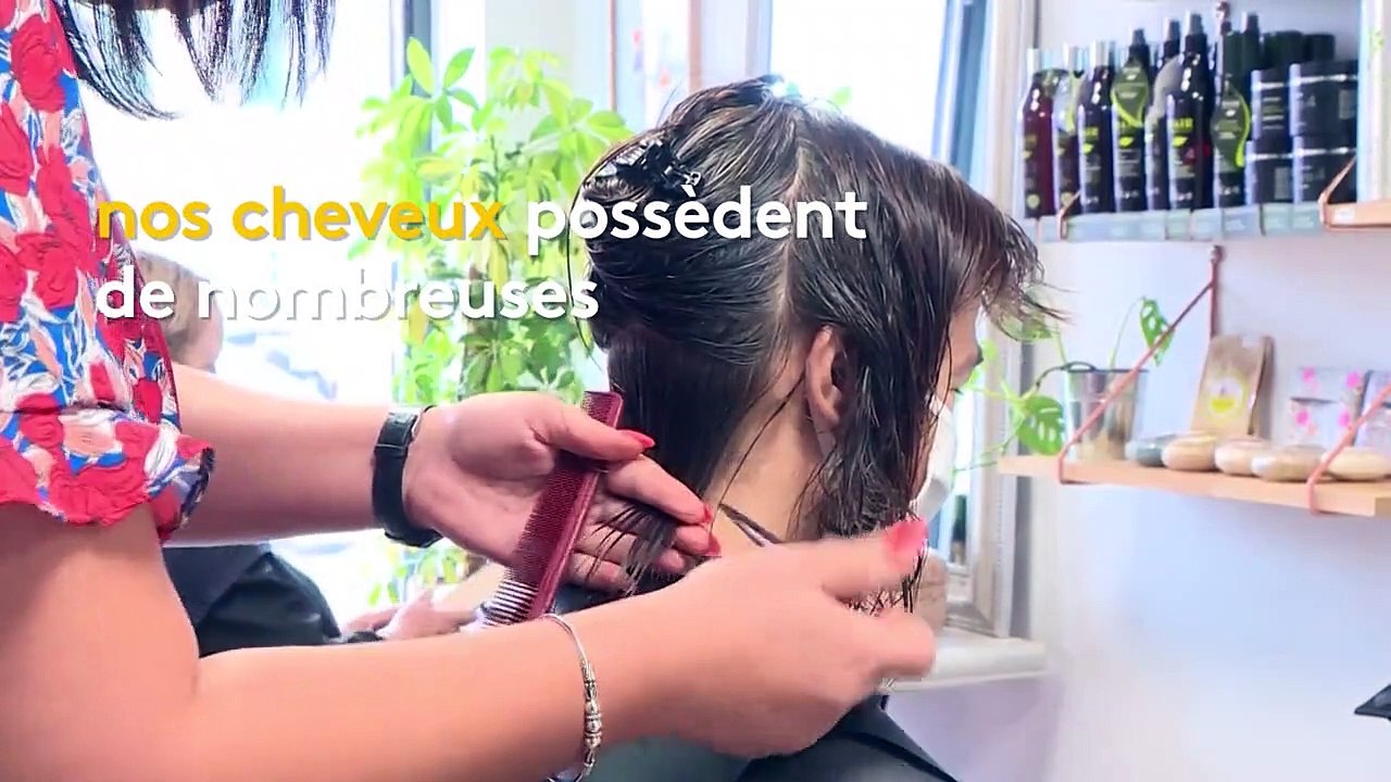 Marée noire à l'île Maurice : le cheveu, absorbant d'hydrocarbures