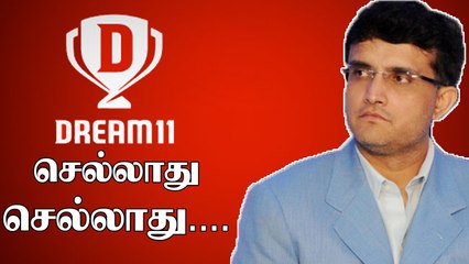 IPL 2020: BCCI rejects Dream 11's next 2 years bid