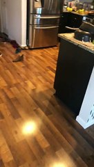 Twins Have Secret Spot to Watch TV