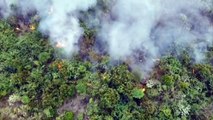 Brazil: forest fire in Amazonas state