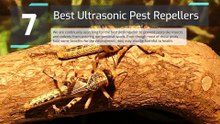 Best Ultrasonic Pest Repellers