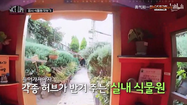 Nct life dream in wonderland sub indo behind the scene