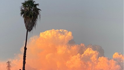 With Almost A Million Acres In Flames, There's No End In Sight For California Wildfires