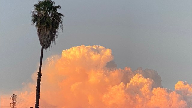 With Almost A Million Acres In Flames, There's No End In Sight For California Wildfires