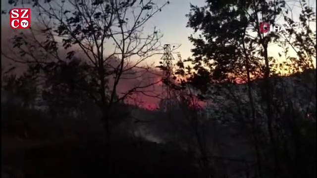 Kozan’daki orman yangını söndürme çalışmaları devam ediyor