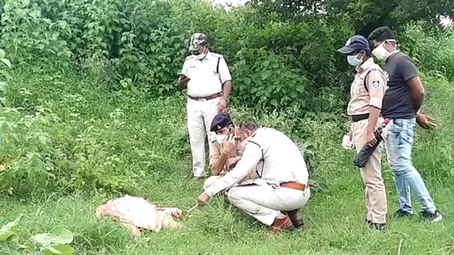 महू-नीमच रोड के समीप महिला की मिली लाश