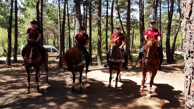 Aydos Orman'ında, yangınları önlemeye yönelik denetim yapıldı - İSTANBUL