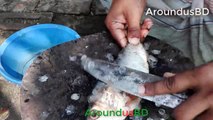 Big hilsa fish cutting traditional method - পদ্মা নদীর বড় ইলিশ মাছ কাটিং