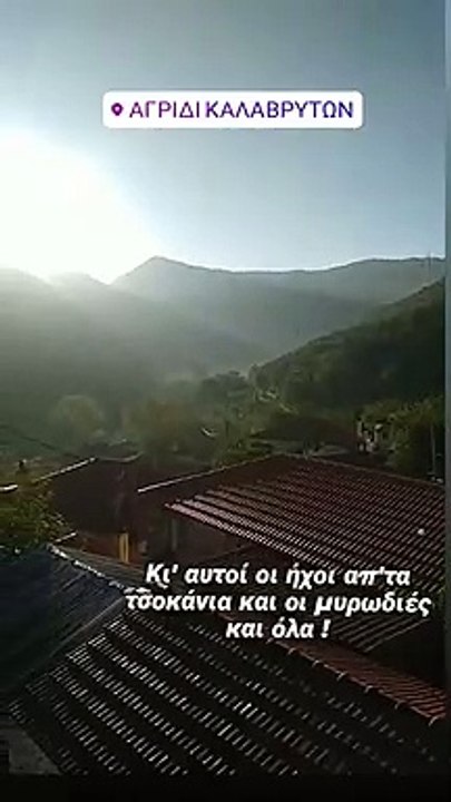 Άγριες Μέλισσες: Βίντεο από το πατρικό του Λάμπρου