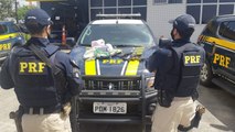 AÇÕES DA POLÍCIA RODOVIÁRIA FEDERAL EM PERNAMBUCO
