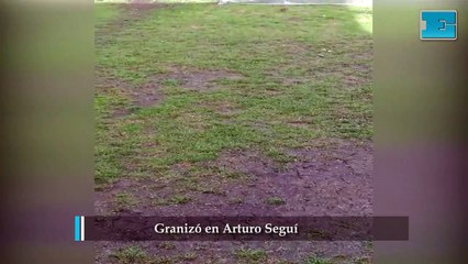 Granizó en Arturo Segui