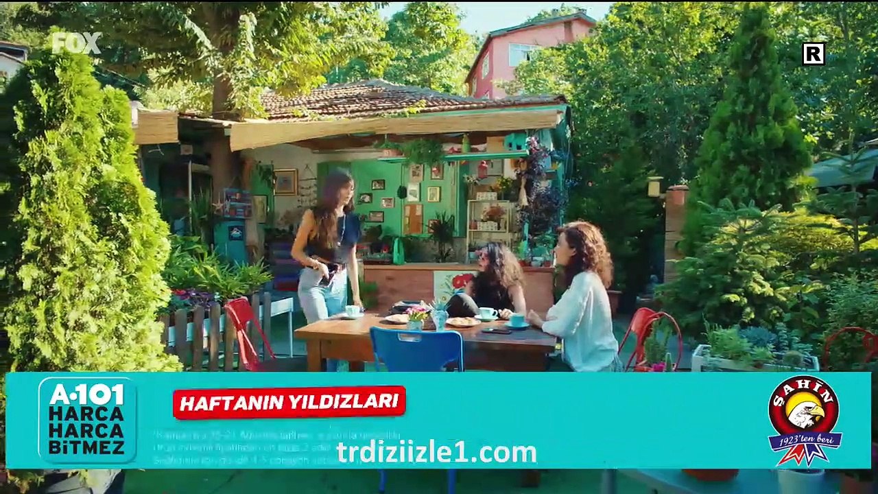 sen part 1