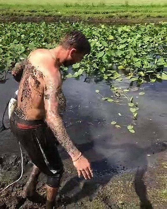 Saving a Bird Stuck in Mud