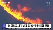 [이 시각 세계] 美 캘리포니아 번개로 20여곳 대형 산불