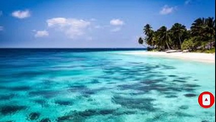 _Illness_during_pregnancy_and_its_cure   গর্ভবতী_কালীন_অসুস্থতা_ও_তার_প্রতিকার।