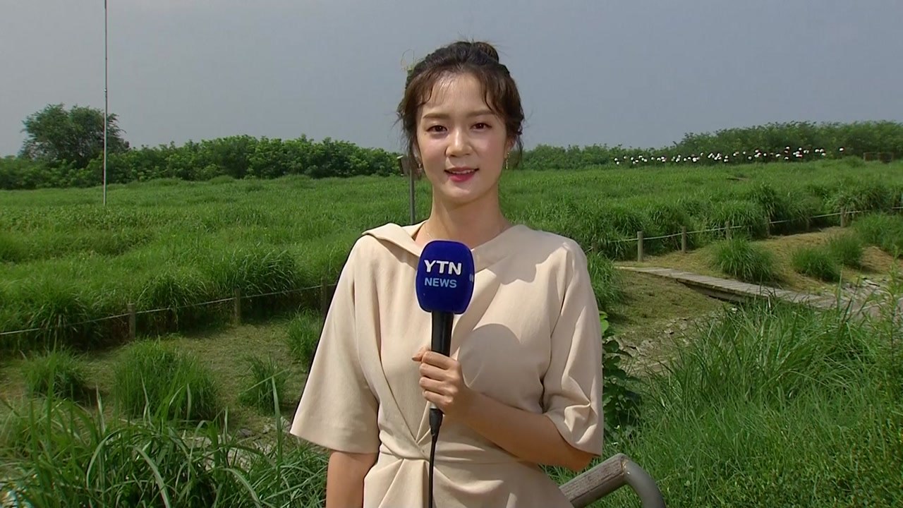 [날씨] 오늘도 가마솥 더위 절정...온열 질환 비상 / YTN