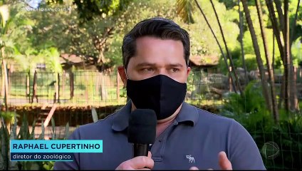 Jornal da Record 30/05/2020 SABADO #2-2