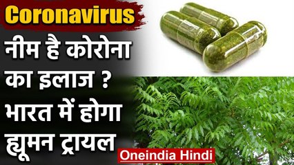 Coronavirus: India में Neem Capsule का Human Body पर ट्रायल,AIIA-ESIC के बीच समझौता | वनइंडिया हिंदी