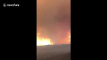 Sonoma County, Calif. skies turn orange due to massive wildfires