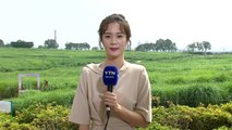 [날씨] 전국 가마솥 더위 절정...영남 올 최고 더위 / YTN
