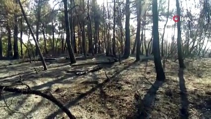 Bursa'da küle dönen ormanlık alanda otomatik tüfek bulundu