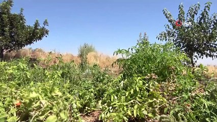 Okul Destek Projesiyle tanıştı, LGS’den 464 puan alarak Fen lisesi'ne yerleşti