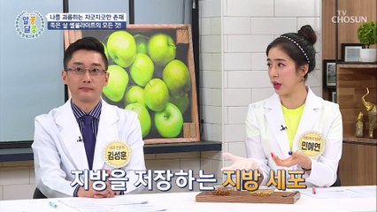 내 몸속 죽은 살☠ 염증 폭탄 ▸이것◂